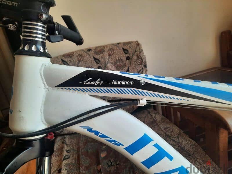 italiano bike 8