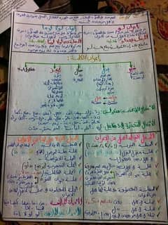 معلم لغة عربية ( عام - أزهر ) للمرحلتين الإعدادية و الثانوية 0
