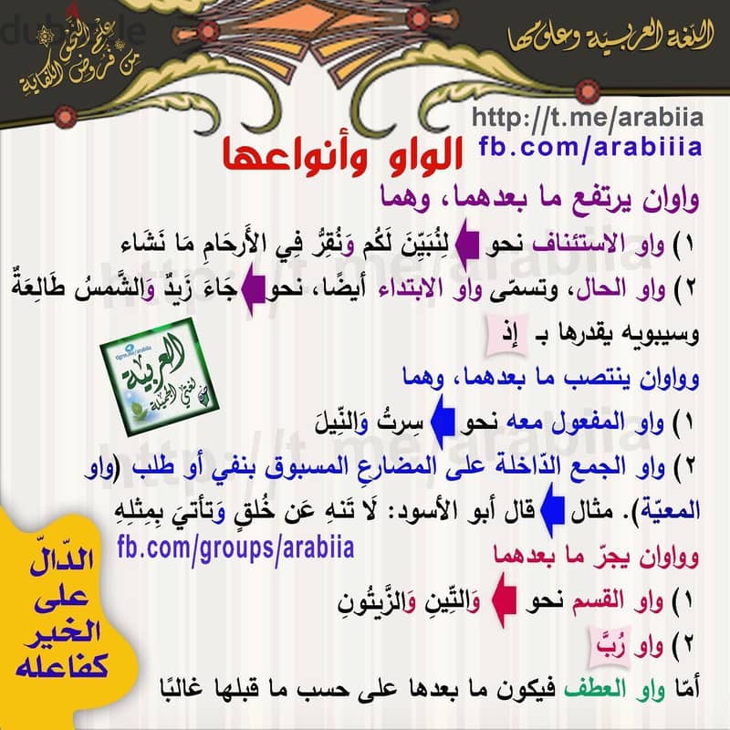 معلم لغة عربية ( عام - أزهر ) للمرحلتين الإعدادية و الثانوية 4