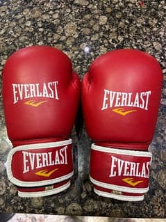 Red Everlast Boxing Gloves 0