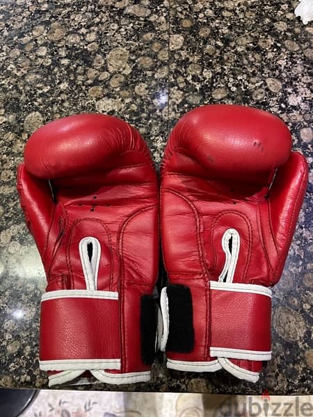 Red Everlast Boxing Gloves 1