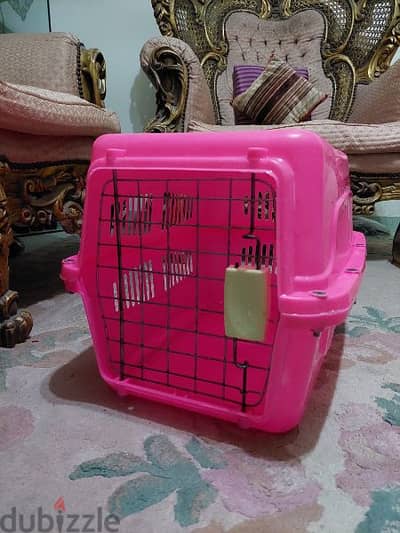 Box for cats, بوكس للقطط