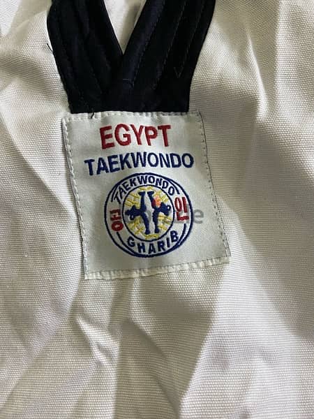 taekwondo 3