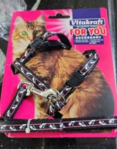 cat  collar