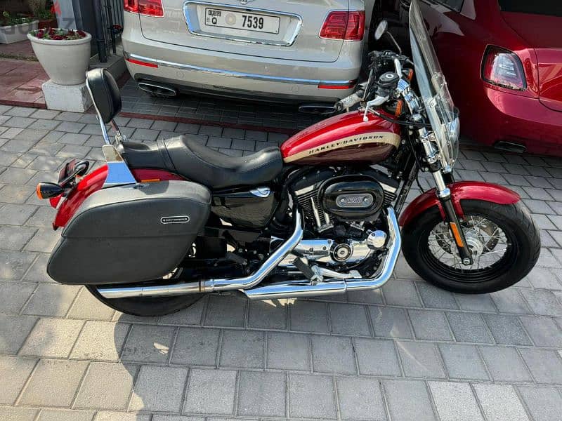 Harley Davidson XL 1200 1