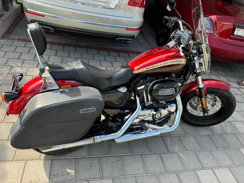 Harley Davidson XL 1200 2