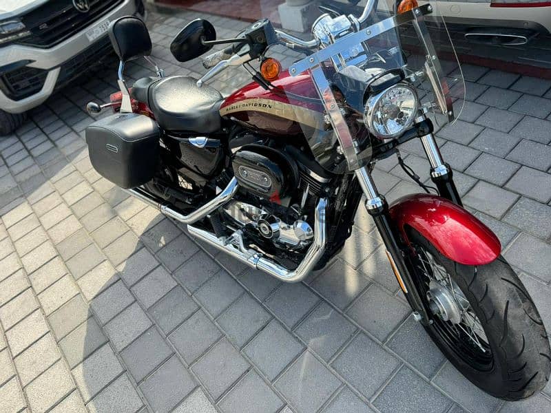 Harley Davidson XL 1200 8