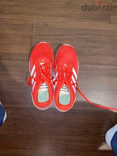 Adidas Red shoe