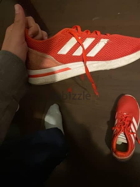 Adidas Red shoe 1