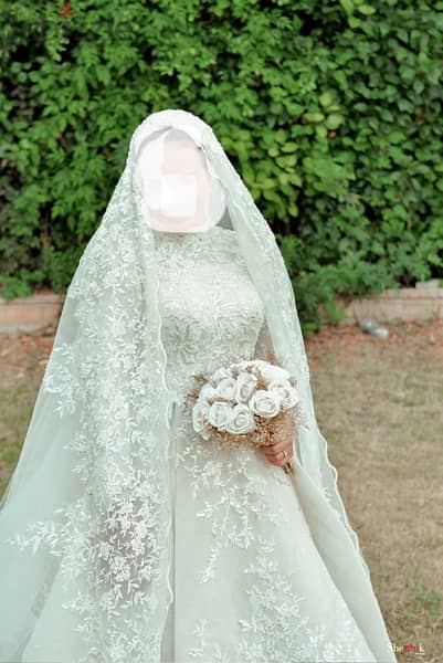 wedding dress & Veil 0
