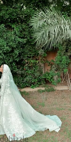 wedding dress & Veil 13