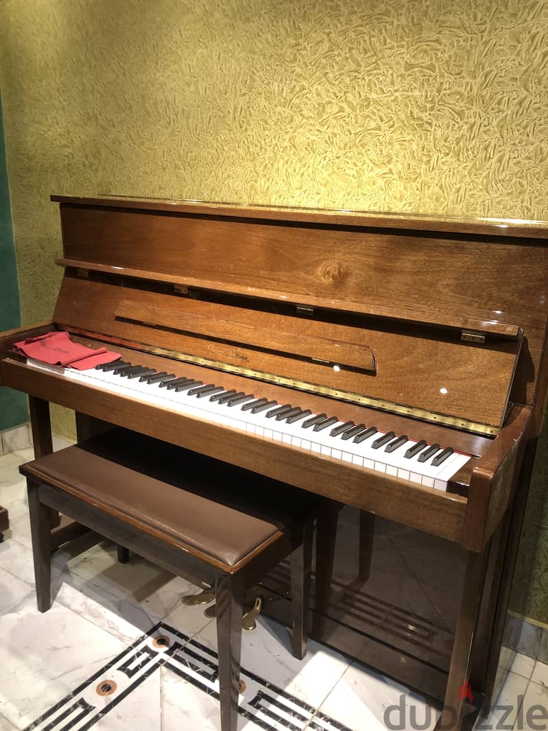 Pearl river piano for professional pianist 9