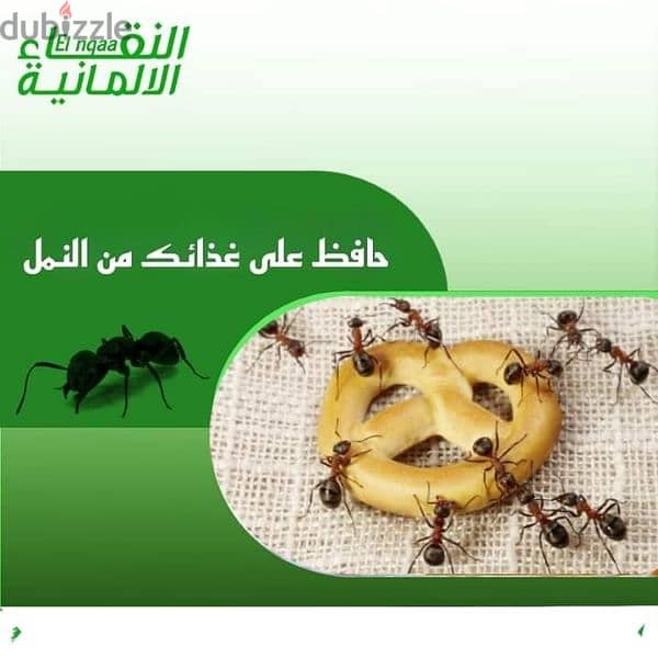 القضاء على حشرات المنازل والفلل والشركات والمصانع وجميع المنشأت 9