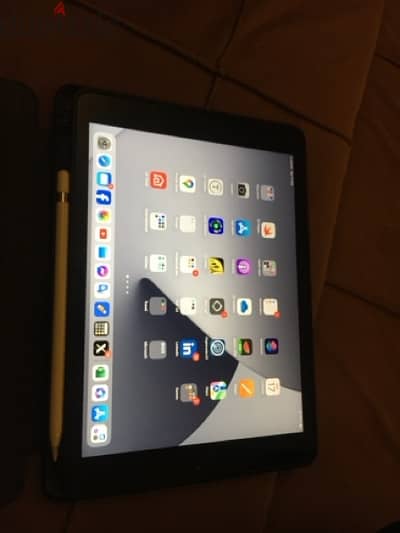 iPad