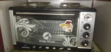 White whale 0