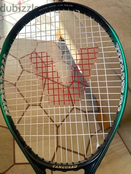 Vanguard Tennis Racket Oversize 110 SQ. IN 4