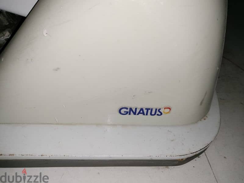 Gnatus 1