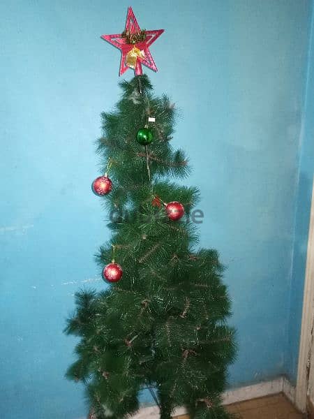 شجرة  كريسماس 1