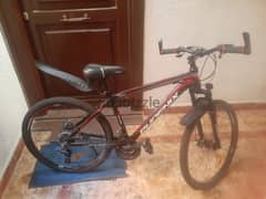 phonix bicycle for sale