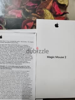 apple mouse magic 2