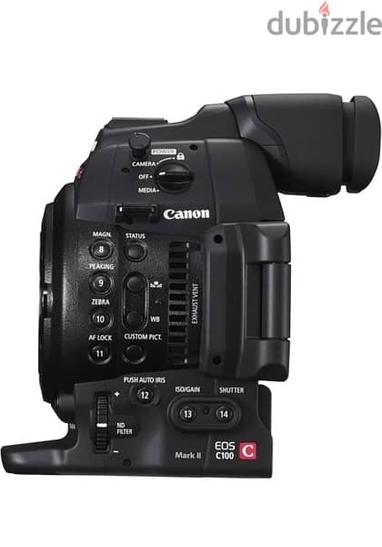Canon EOS C100 Mark II 2