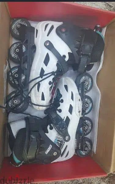 skate cougar 509