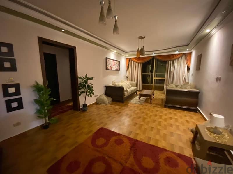 furnished 2 Bedrooms Apartment ONLY  Non Egyptions 11