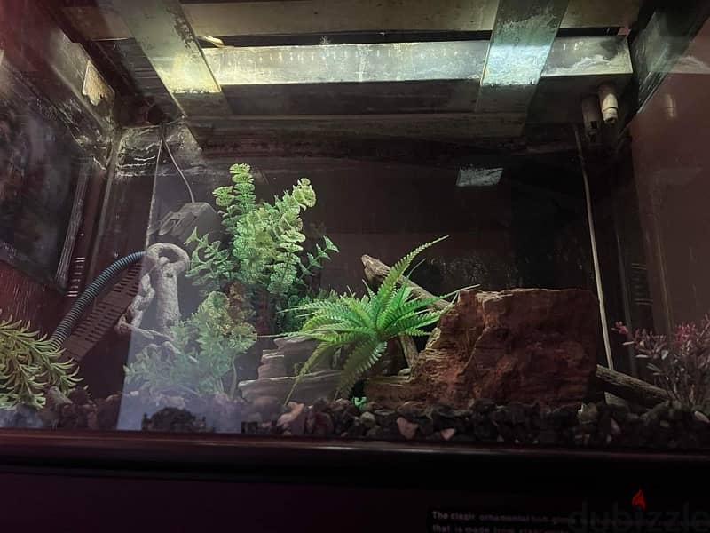 Aquarium / Fish Tank 1