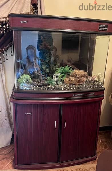 Aquarium / Fish Tank 2