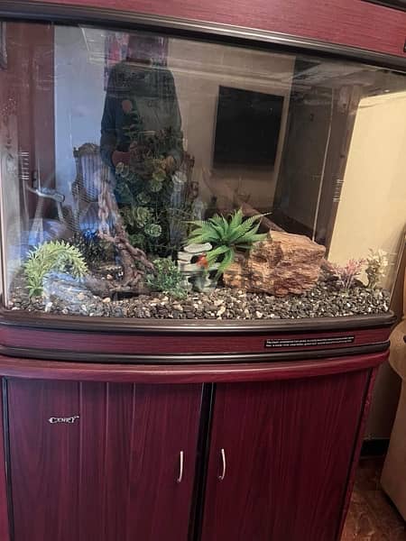 Aquarium / Fish Tank 3