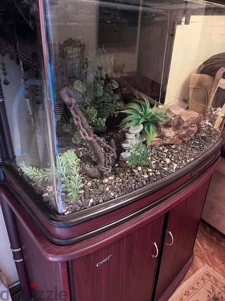 Aquarium / Fish Tank 6
