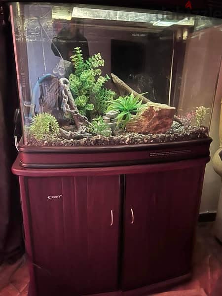 Aquarium / Fish Tank 8