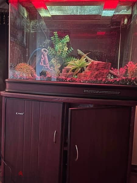 Aquarium / Fish Tank 9