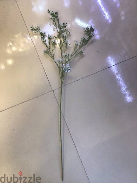 white flowers 1