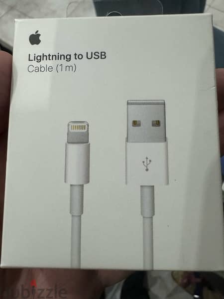 Apple Lightning to USB Cable (1m) 1