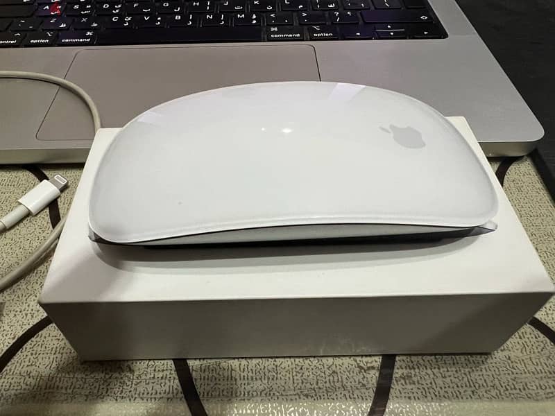 Apple Magic Mouse 2 1