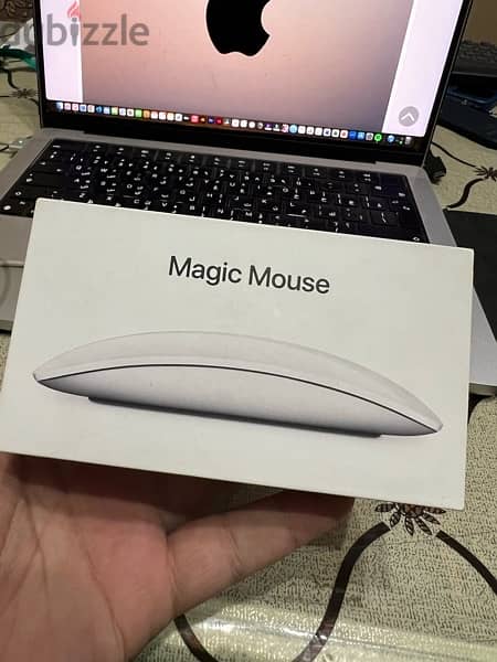 Apple Magic Mouse 2 4