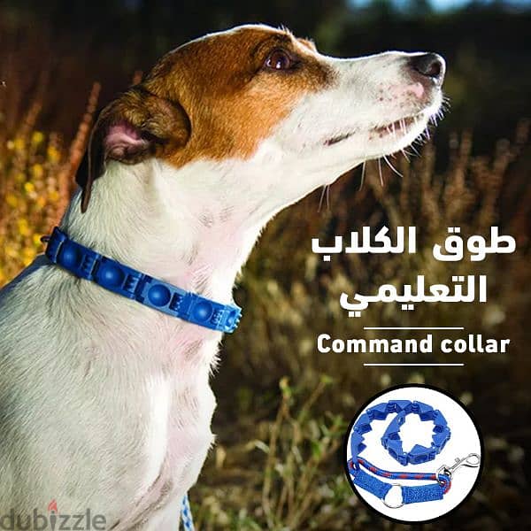 طوق الكلاب التعليمي command collar التوصيل لجميع المحافظات 4