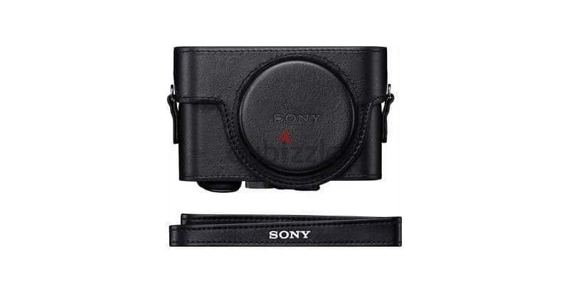 Sony Cyber-shot DSC-RX 100 V 20.1 MP 3