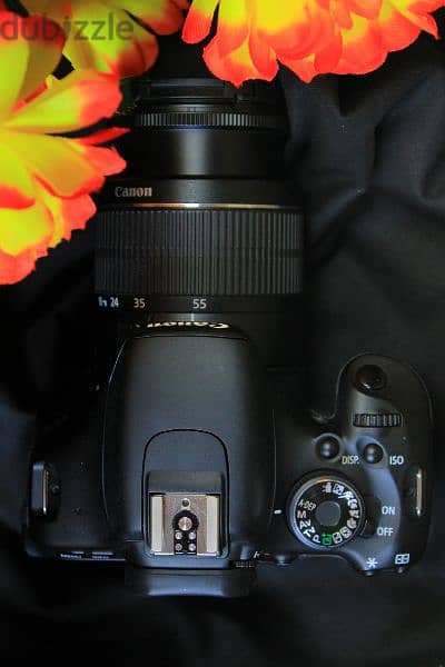 Canon 600d Shutter 0 New بالبوكس جديدة غير مستخدم 4