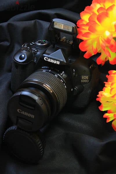 Canon 600d Shutter 0 New بالبوكس جديدة غير مستخدم 7