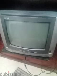 تلفزيون