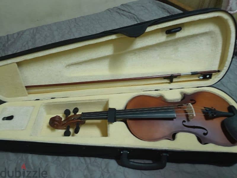 shelter violin 1