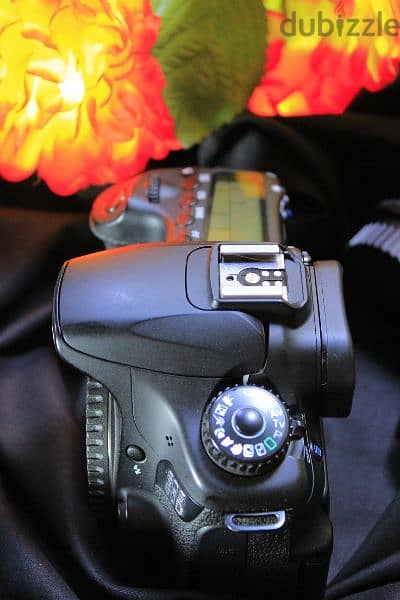 Canon 60D Shutter 600 New/// كانون 60 دي شاتر 600 صورة جديدة 8