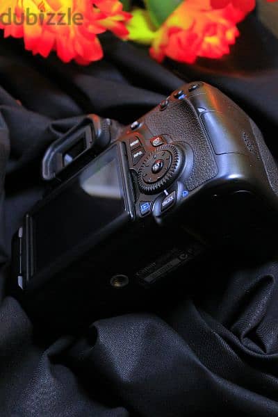 Canon 60D Shutter 600 New/// كانون 60 دي شاتر 600 صورة جديدة 11