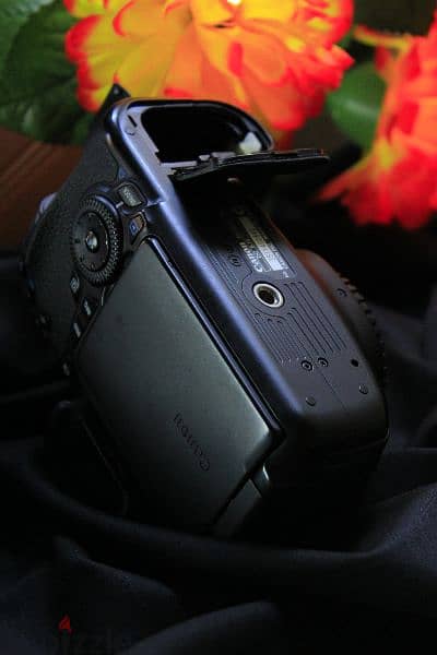 Canon 60D Shutter 600 New/// كانون 60 دي شاتر 600 صورة جديدة 14