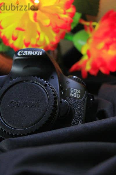 Canon 60D Shutter 600 New/// كانون 60 دي شاتر 600 صورة جديدة 15