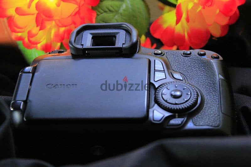 Canon 60D Shutter 600 New/// كانون 60 دي شاتر 600 صورة جديدة 17
