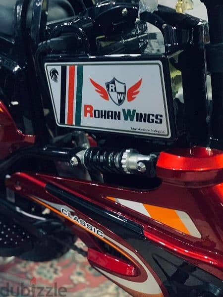 E Bike دراجة عجلة كهرباء Rohan Wings 11