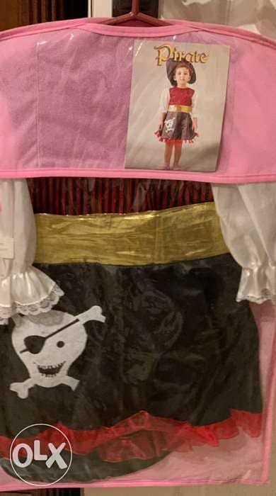 Pirate Girl Costume 2